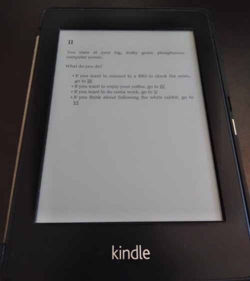 Testing the ebook in my Kindle